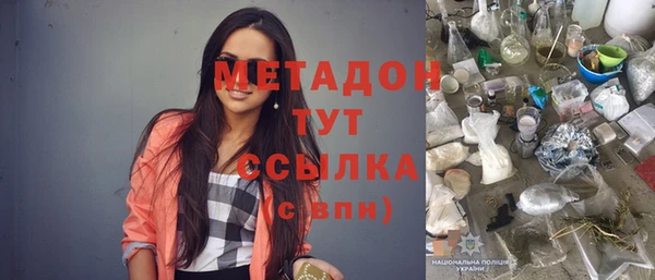 прущие грибы Аркадак