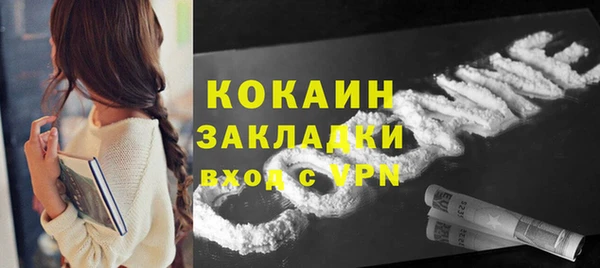 прущие грибы Аркадак