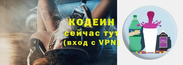 прущие грибы Аркадак