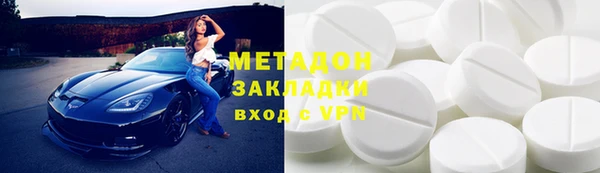 прущие грибы Аркадак