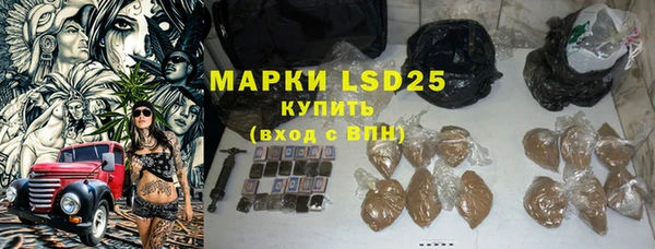 прущие грибы Аркадак