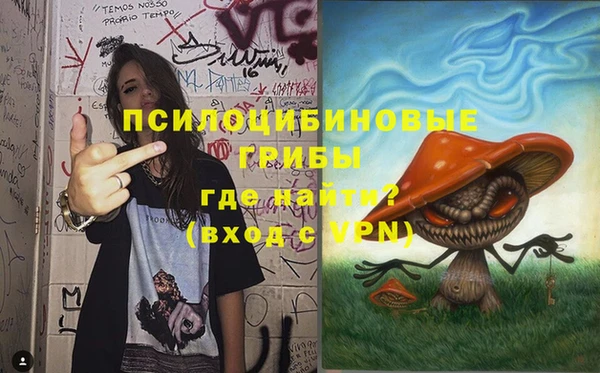 первитин Армянск